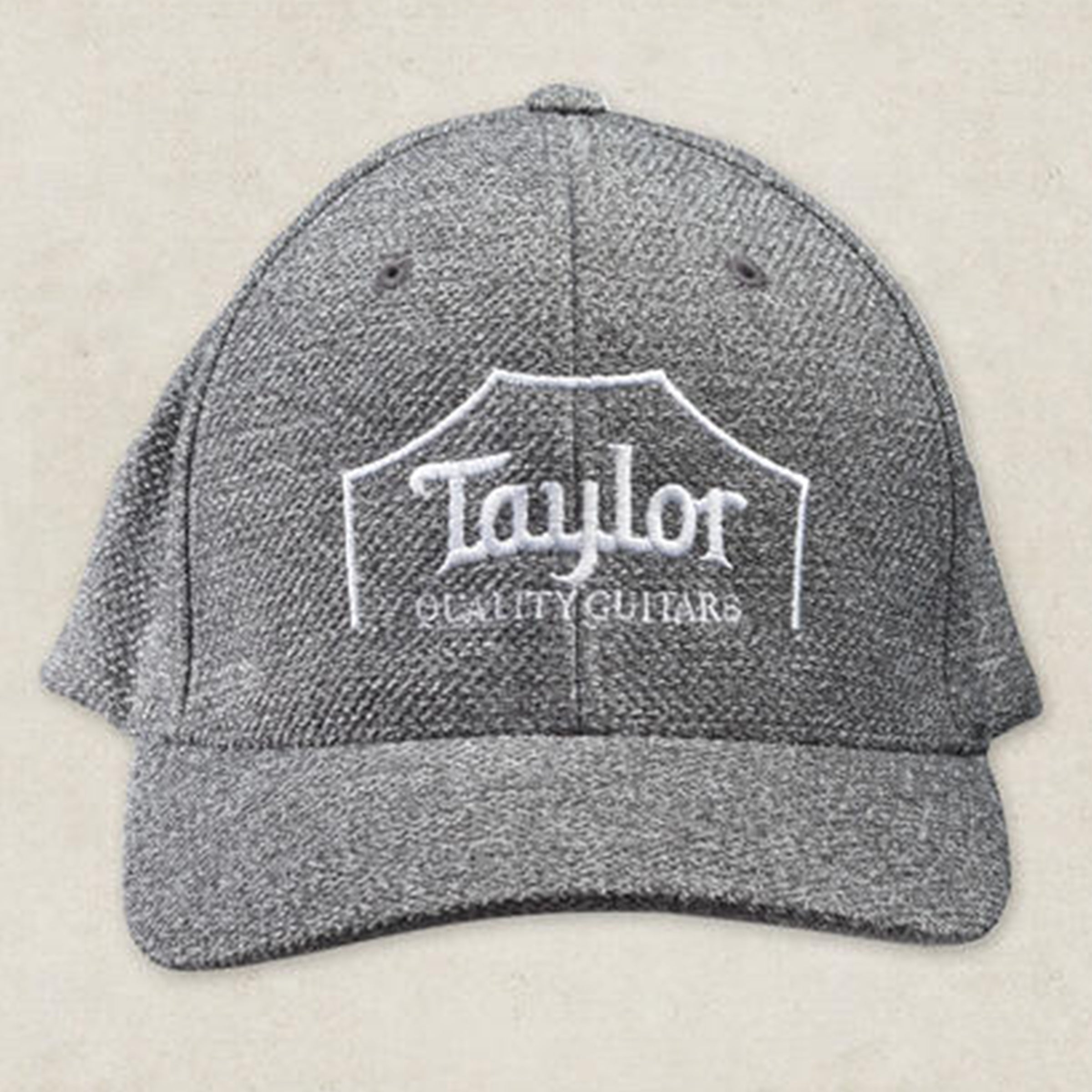 Taylor guitar trucker hat sale