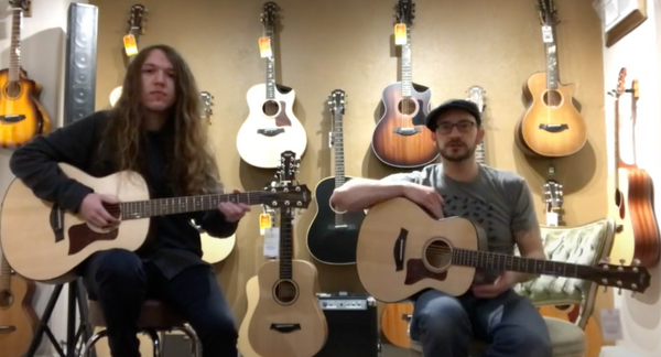 Taylor GT and GTe Demo and Baby Taylor BT1 on Sale at Small Box Music