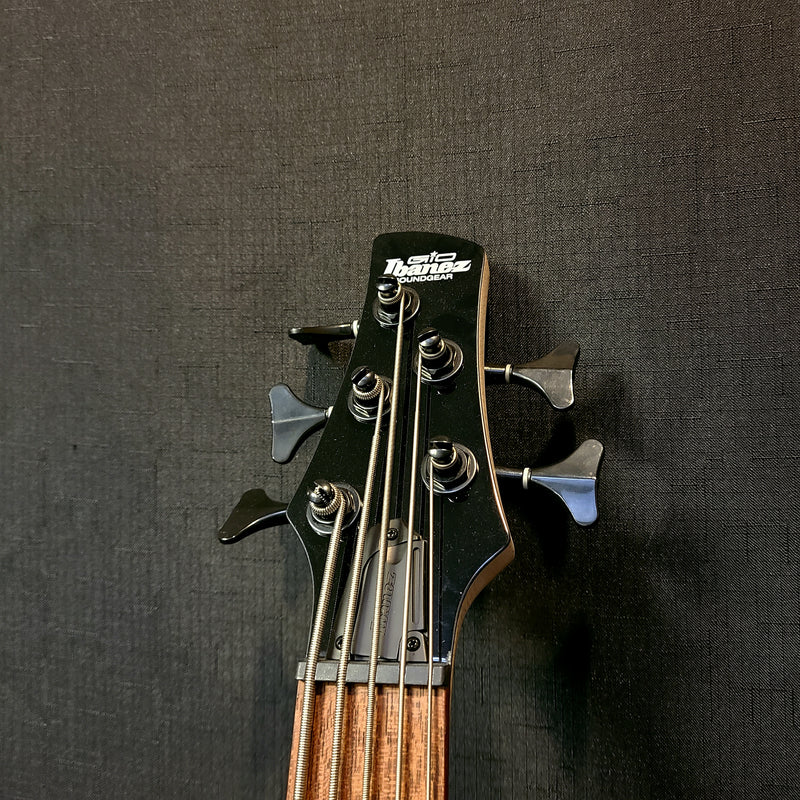 Ibanez GSR205SM Spalted Maple 5-String Bass - Natural Gray Burst (NGT)