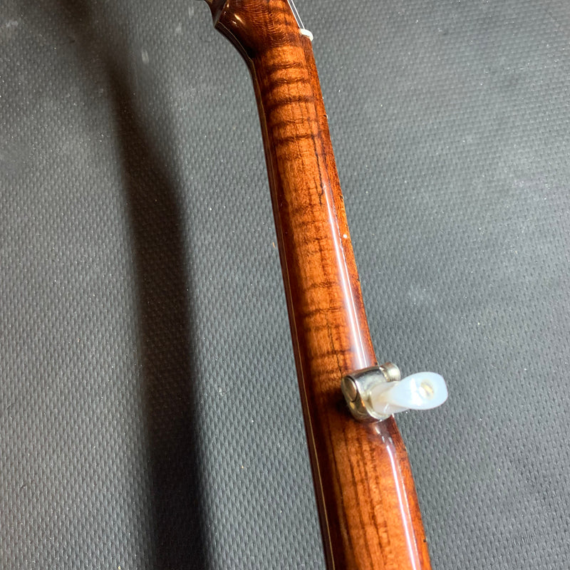 Used Nechille Meteor Electric Banjo w/ Case - Rosewood