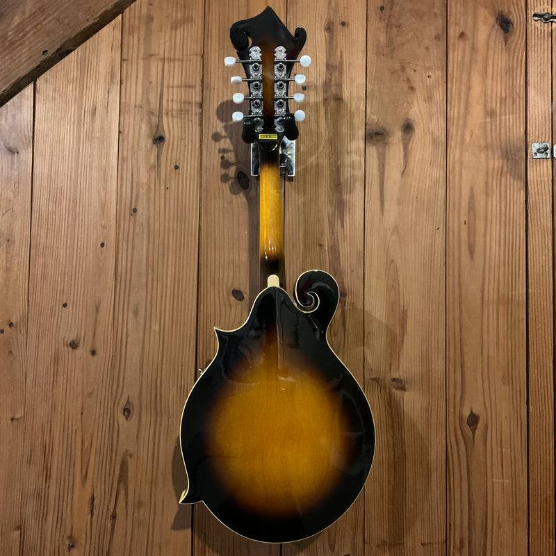 Used Gold Tone GM-35 F-Style Mandolin w/ Case 100925