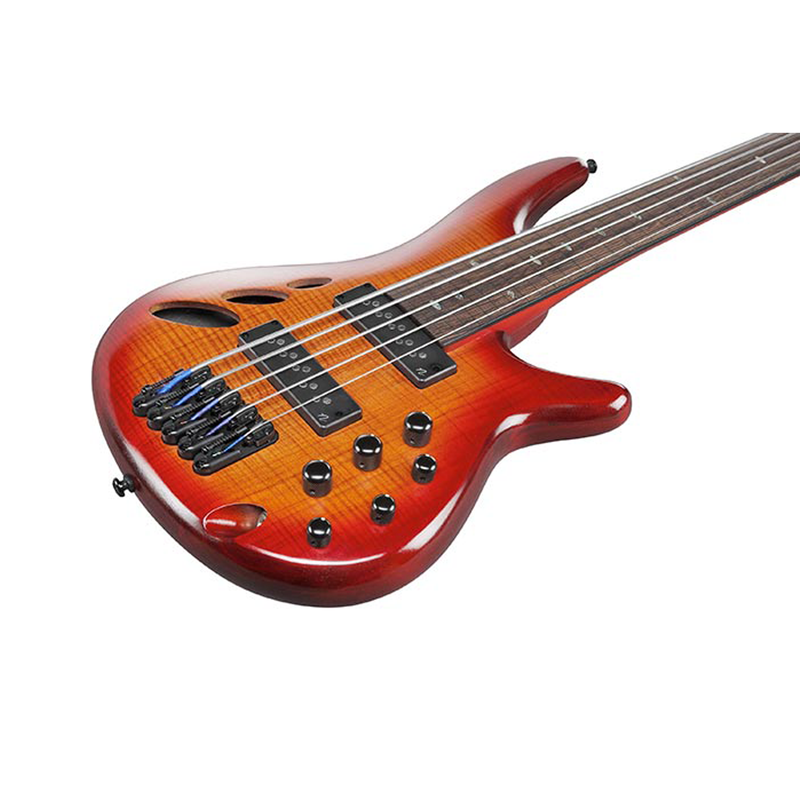 Ibanez SRD905F 5-String Fretless Bass - Brown Topaz Burst Low Gloss