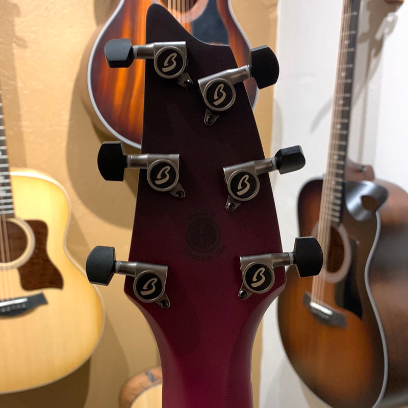 Breedlove Limited Edition Oregon Concert CE w/Case - Pinot