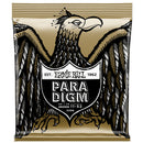 Ernie Ball 80/20 Bronze Paradigm Acoustic Strings - Light
