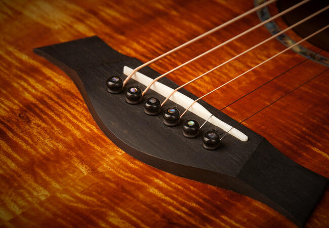 Taylor Ebony Acoustic Guitar Bridge Pins w/ Abalone Dots