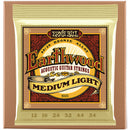 Ernie Ball Earthwood 80/20 Acoustic Strings - Medium Light