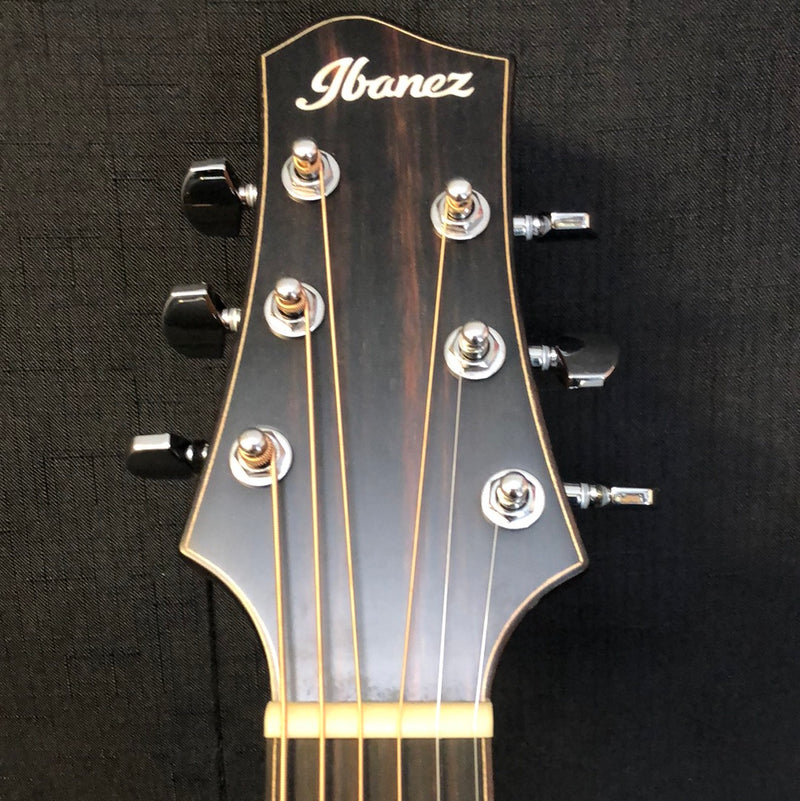 Ibanez PA300E Acoustic Electric Guitar w/ Bag