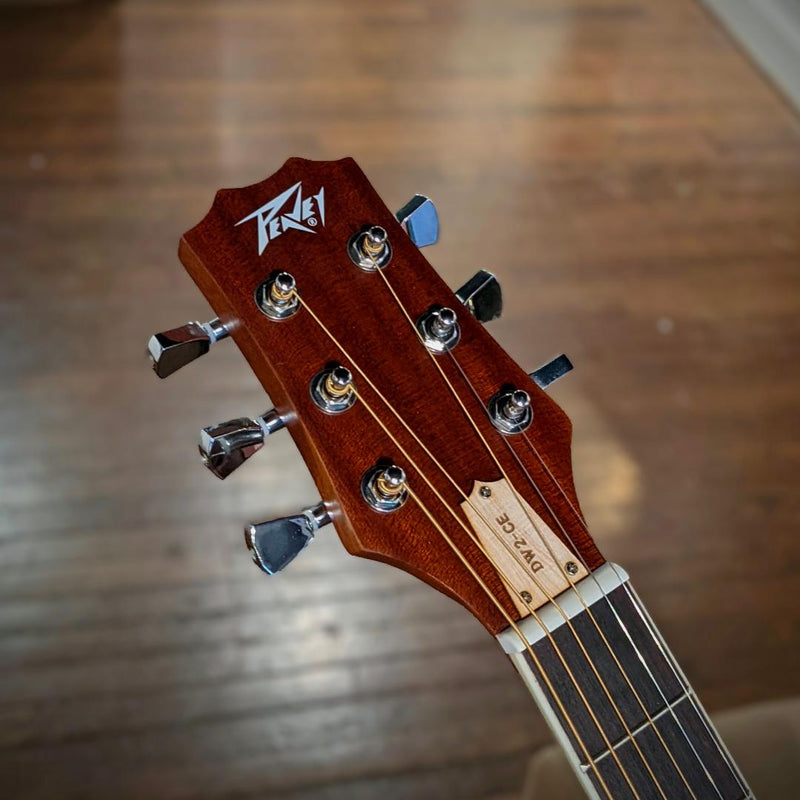 Peavey Delta Woods DW2CE Acoustic Electric Guitar