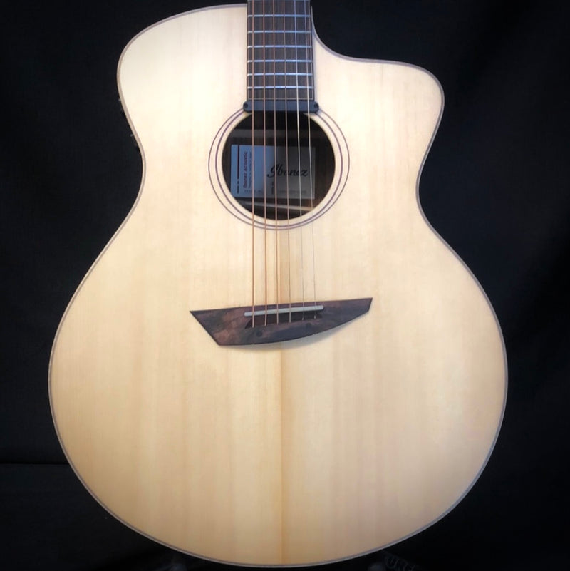 Ibanez PA300E Acoustic Electric Guitar w/ Bag